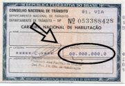 Carteira Nova